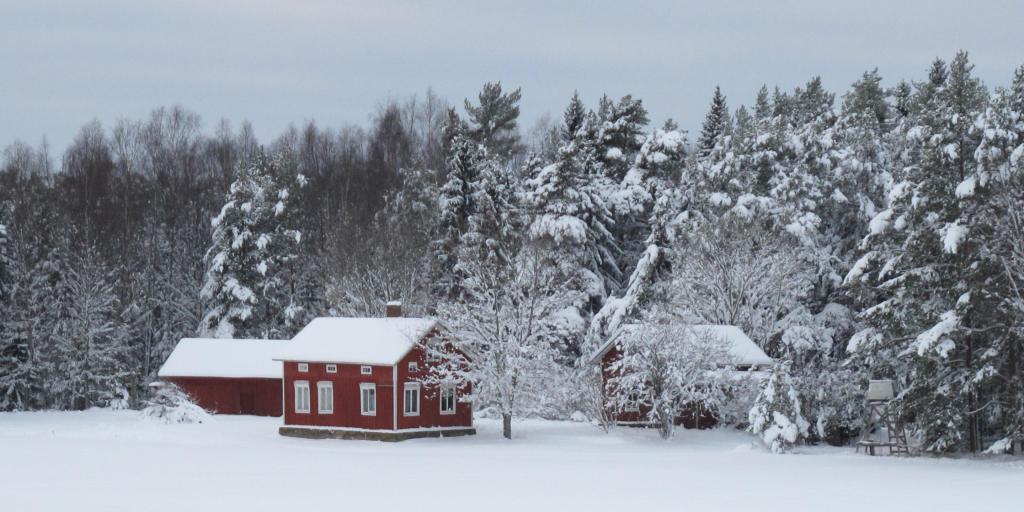 Hus i vintermiljö